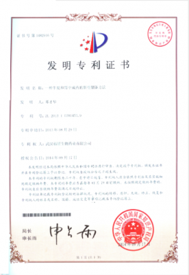 Invention patent