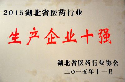 生产企业十强