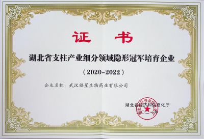 隐形冠军证书