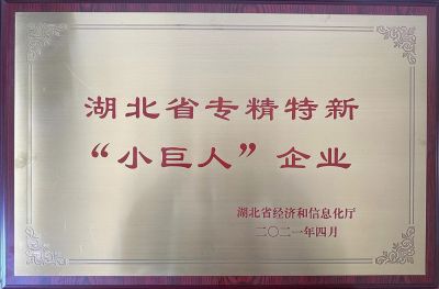 专精特新小巨人