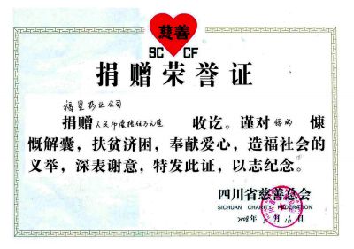 Donation Honor Certificate